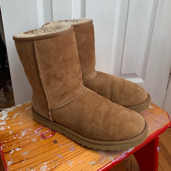 UGG Shoes - short chestnut uggs!